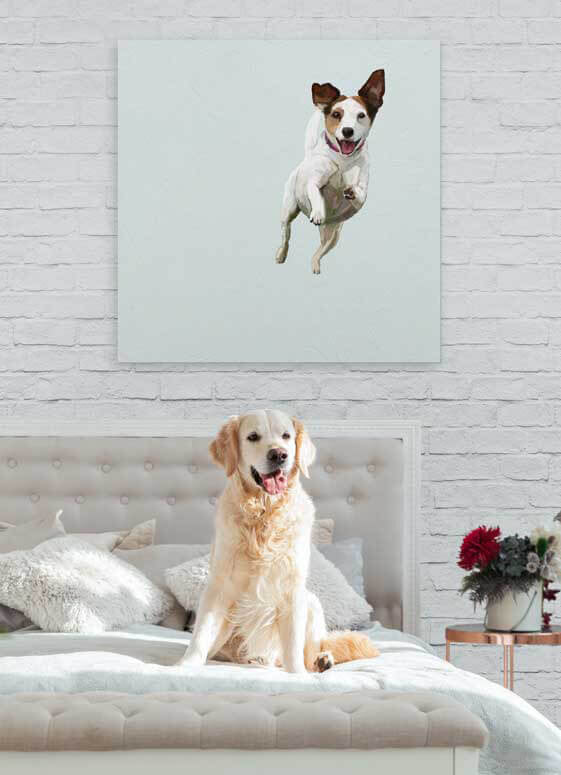 Jack russell 2024 wall art